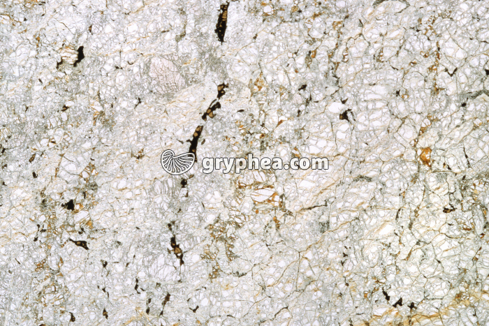 Harzburgite LPNA x3,5 - gryphea.com